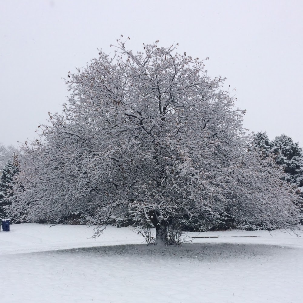 Meet your Posher, Moizzah